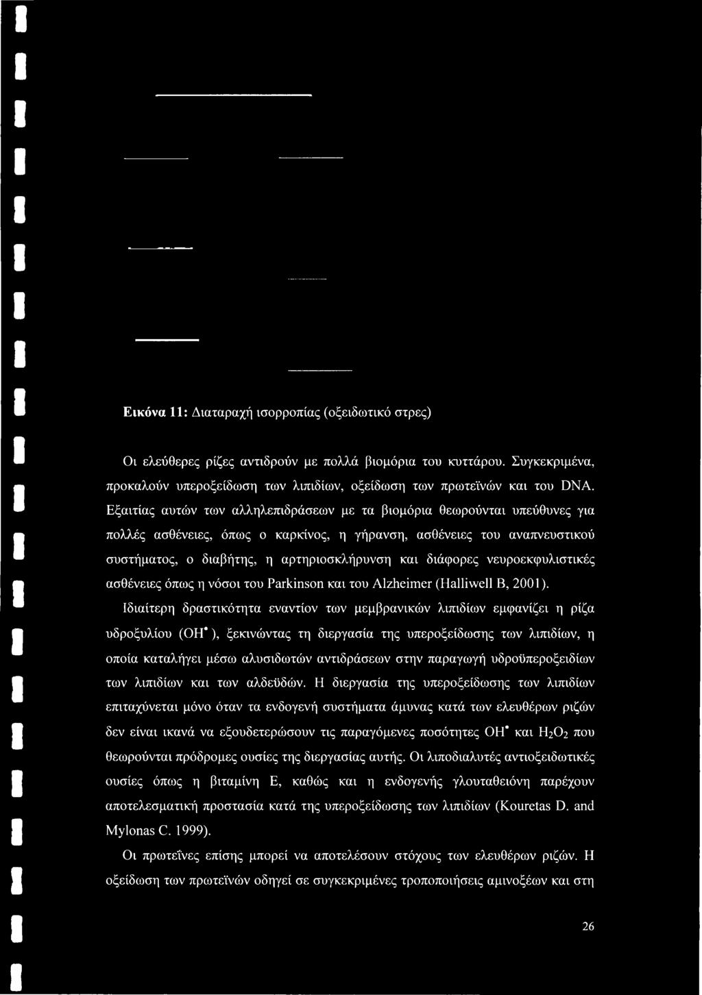 διάφορες νευροεκφυλιστικές ασθένειες όπως η νόσοι του Parkinson και του Alzheimer (Halliwell Β, 2001).
