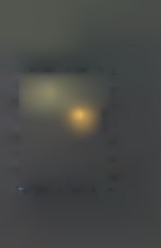 Os X