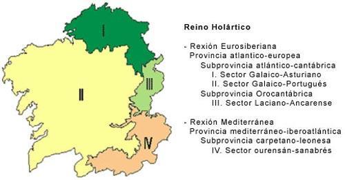 correspóndense coas características de tipos de usos, pendente, profundidade, perigo de inundación, drenaxe, clima e status de nutrientes do terreo.