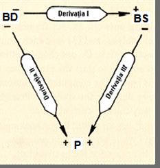 Cele 3 derivaţii explorează activitatea electrică a cordului prin două puncte situate la egală distanţă faţă de cord, un electrod legându-se la polul negativ, celălalt electrod la polul pozitiv al