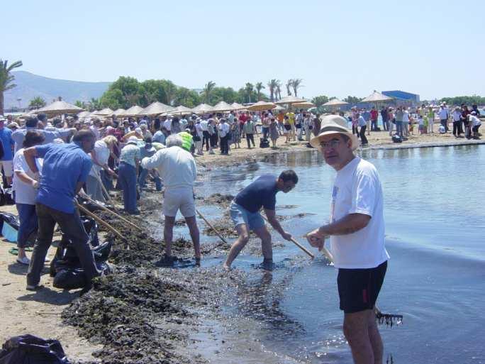θαλάσσιο