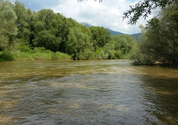 ΕΛΛΗΝΙΚΟΣ ΓΕΩΡΓΙΚΟΣ ΟΡΓΑΝΙΣΜΟΣ