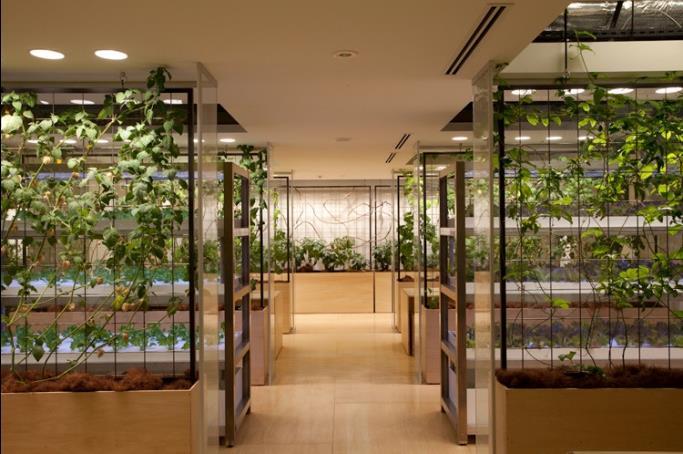 Το vertical farming είναι ουσιαστικά η καλλιέργεια φρούτων και λαχανικών σε ένα αστικό περιβάλλον με την χρήση κατάλληλων συστημάτων.
