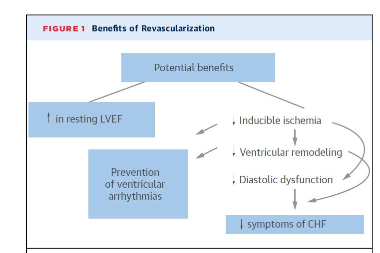 Aims of Revascularization Improvement symptoms,