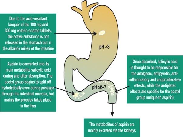 Enteric-coated Aspirin protects the stomach from irritation The enteric coating is designed to protect the stomach from irritation