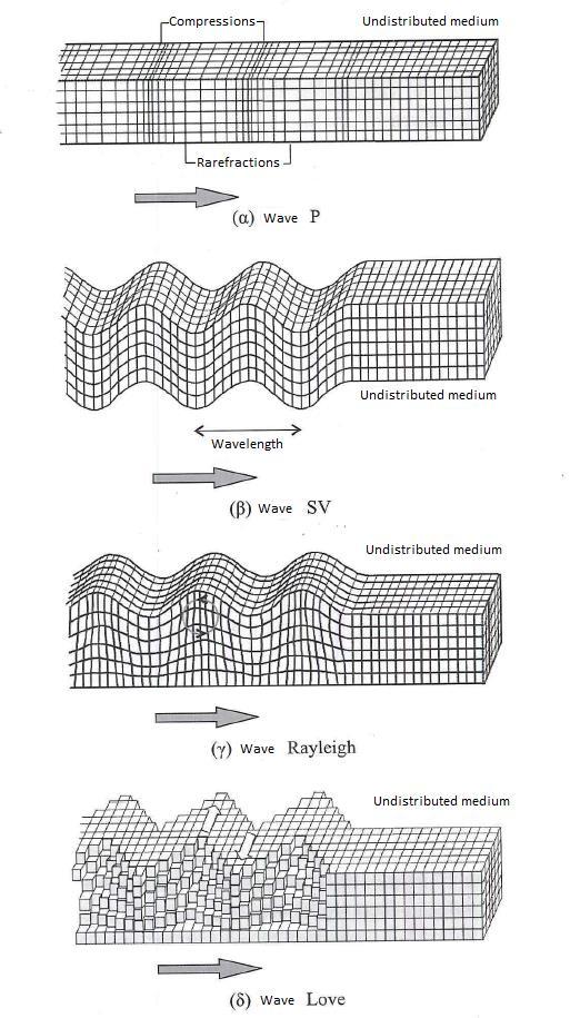 10 Θεωρητικό υπόβαθρο Figure 2-2: Deformations that are caused by body waves (a) P and (b) S and by surface waves (c) Rayleigh and (d) Love.