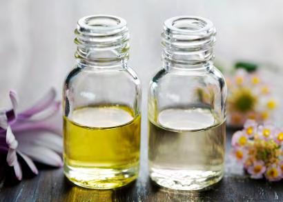 Απλά διαζευγμένα μέλη
