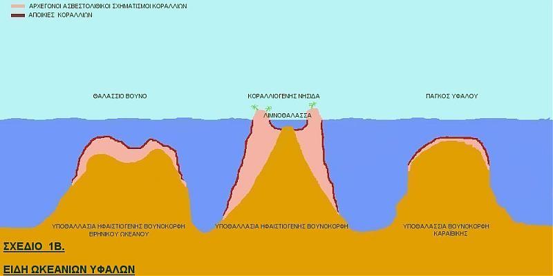 Βέβαια δεν είναι έτσι ακριβώς Οι ωκεάνιοι ύφαλοι δημιουργήθηκαν είτε στις κορυφές υποθαλάσσιων βουνών είτε στις κορυφές υποθαλάσσιων ενεργών και μη ηφαιστείων.