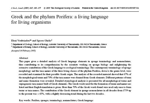 PORIFERA