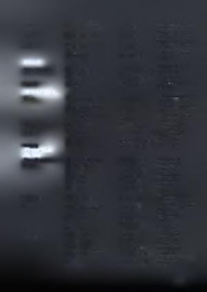 28410 41453 Σητεία 43 Ζάκρος Τσικαλάκης Γ. 28430 93068 & 6974 891270 Δ Ω Δ Ε Κ Α Ν Η Σ Α Ρόδος 44 Σκάλα Καμείρου Πιτροπάκη Μ. 22410 40190 & 6945 490101 ^ Κεντρικό λιμάνι & Κώστα Σ.