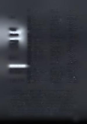 67 Πολιχνίτος Στατέλλης Ευστράτιος 22520 41367 Λήμνος 68 Ατσική Λαμπρινού I. 22540 31492 & 6979 488200 69 Μούδρος Τσαπτσαλή Ε. 22540 71301 70 Μύρινα Χριστοφιδέλης Ν.