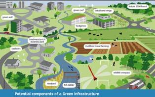 επικλινή Διαχρονική πράσινη υποδομή απαραίτητη για την προσαρμογή στην κλιματική αλλαγή Ο ρόλος των πράσινων υποδομών ΕΕ: Εργαλείο για την παροχή οικολογικών,