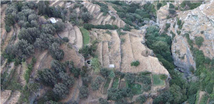 νερού, λειτουργεί ως αντιπυρική ζώνη Εμπλουτισμός εδαφικού άνθρακα Ελαχιστοποίηση άροσης, διατήρηση εδαφοκάλυψης, υπολείμματα καλλιέργειας, μείωση αζωτούχων λιπασμάτων, αύξηση οργανικής ύλης