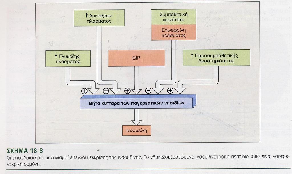 διέγερση GIP(γαστρικό Γλυκόζοεξαρτώμενο ανασταλτικό πεπτίδιο) ινσουλινοτρόπο