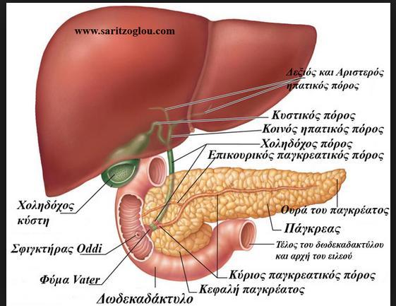 Εκβολή παγκρεατικού και χοληδόχου