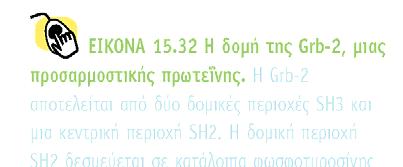 Πρωτεΐνη συναρμογής Παράγοντας