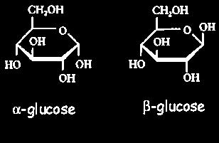 OGLJIKOVI HIDRATI Monosaharidi enostavni sladkorji Spojine C, H, O v razmerju 1:2:1 3 ogljikovi atomi: TRIOZE 5 ogljikovih atomov: PENTOZE (npr.