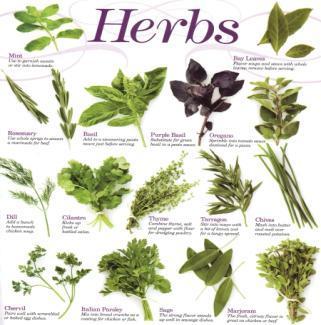 Φυσικά Αντιμικροβιακά Συστήματα 4/4 Αιθέρια έλαια από καρυκεύματα και βότανα (spices and herbs).