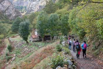 Andrés de Agües, non hai que collelo, e seguimos cara ao final da estrada asfaltada que nos conduce mesmo ao albergue O Cantu del Oso (442 m), onde nos esperaba unha boa cea e hospedaxe agradable,