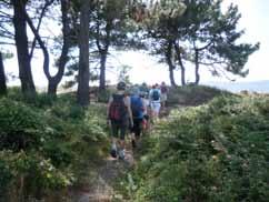 Desembarco e formación de dous grupos: mentres uns facían mergullo a pulmón, os máis percorríamos a illa,