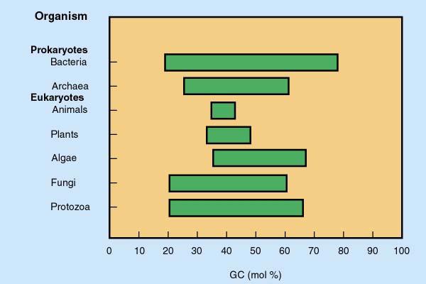 Molekularna identifikacija: GC deleži Organizmi s podobnimi fenotipi imajo podobna GC razmerja.