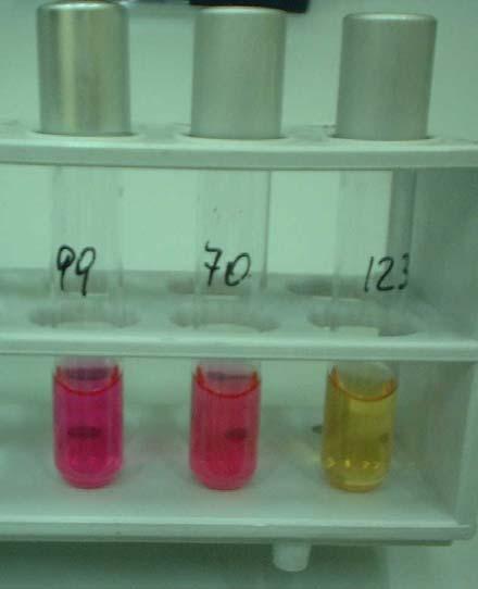 Klasični fenotipski testi Hidroliza UREAe