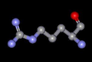 Paveikslai H 2 N C N H (CH 2 ) CH 2 2 CH NH NH 2 Pav. 1. Arginino struktūrinė formulė N N N O COOH N Pav. 2. Arginino 2D cheminė struktūra Pav. 3.