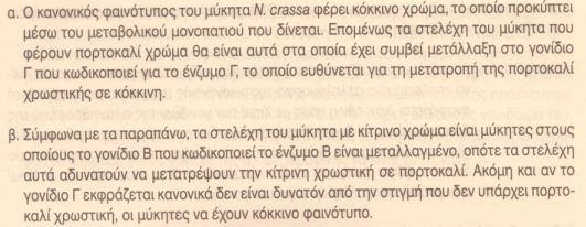 α. Πώς προκύπτουν τα στελέχη με πορτοκαλί χρώμα; β. Πώς προκύπτουν τα στελέχη με κίτρινο χρώμα; γ.