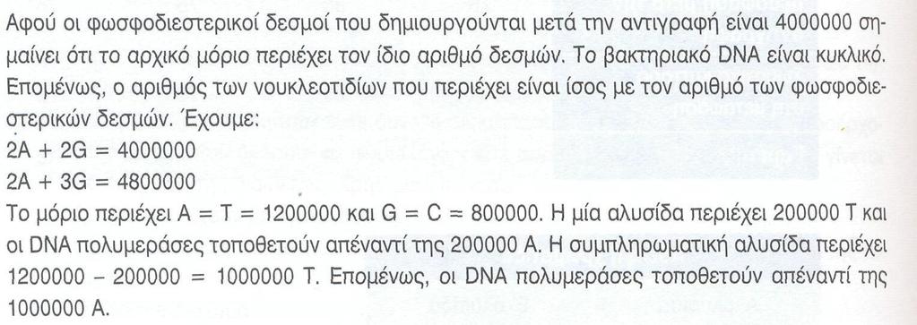 β. Όταν η αμινομάδα του 4 ου αμινοξέος σχηματίζει πεπτιδικό δεσμό τότε απομακρύνεται το trna του 3 ου αμινοξέος.