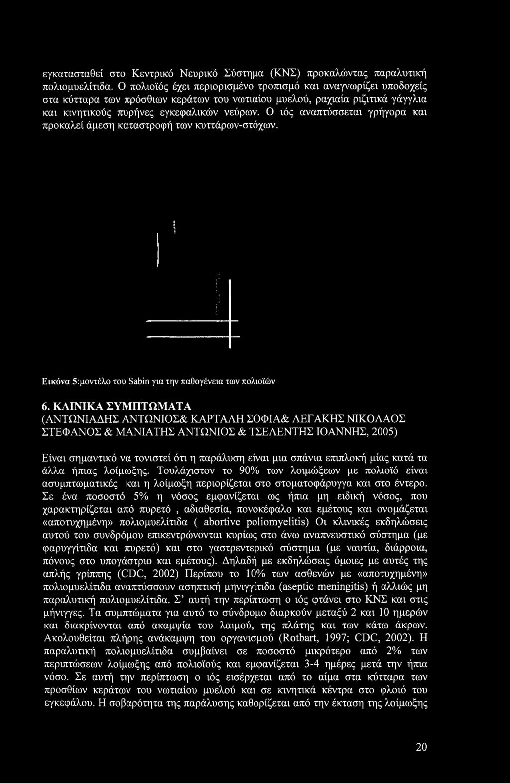 Ο ιός αναπτύσσεται γρήγορα και προκαλεί άμεση καταστροφή των κυττάρων-στόχων. Εικόνα 5:μοντέλο του Sabin για την παθογένεια των πολιοϊών 6.