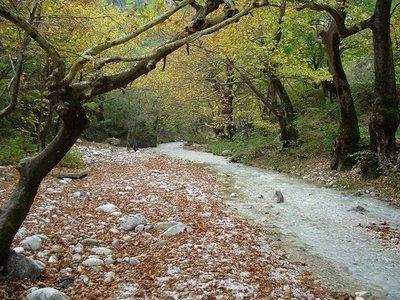 Παξάιιεια ζην πνηάκη, ν επηζθέπηεο ζπλαληά δαζηθφ κνλνπάηη, νκαινπνηεκέλν θαη βαηφ αθφκα θαη ζηνπο κε δεηλνχο νξεηβάηεο (Δηθφλα 3.19). Δηθφλα 3.19: Γαζηθφ κνλνπάηη παξάιιεια ζην πνηάκη (Πεγή: www.