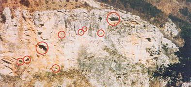 βξεζεί εξγαιεία, ζξαχζκαηα θεξακηθήο λενιηζηθήο θαη λεφηεξεο θαηνίθεζεο [www.megaplatanos.tripod.com, www.eosa.gr - Οξεηβαηηθφο χιινγνο Αικσπίαο, 2011]. Δηθφλα 3.