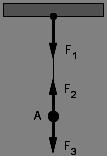F2 i F3 C. F4 i F5 D. F1 i F2 31. Tijelo A ovješeno je na nit.