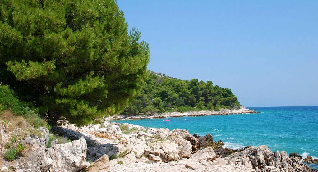 Cijeli teren je očišćen bagerom, cijela površina terena je prohodna i vrlo jasno se vide granice ostalih dijelova terena. Teren je ograđen te ima ulazna vrata od 4. m širine.
