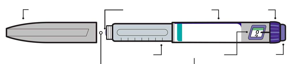 Τμήματα της συσκευής τύπου πένας σας πώμα πένας κεφαλή φυσιγγίου (η βελόνα θα τοποθετηθεί εδώ) σώμα πένας επιλογέας φυσίγγιο Ινσουλίνης παράθυρο δόσης κουμπί ένεσης Αυτή η πένα λειτουργεί με τα