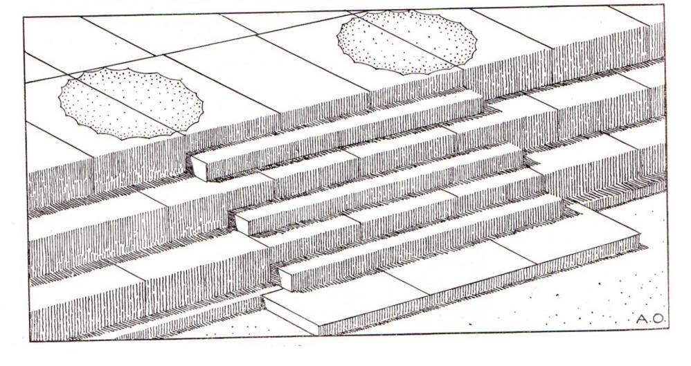 Εικόνα 1.9 Τμήμα της κρηπίδας το οποίο εμφανίζει σύνδεσμο διπλού ταυ για την σύνδεση των λίθων της ευθυντηρίας. (Η αρχιτεκτονική του Παρθενώνος, Α. Κ.