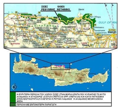 Η λαδανιά φυτρώνει σε πολλές περιοχές