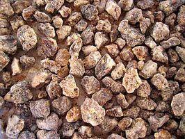 αρωματοποιΐα Styrax benzoin Styracaceae Benzoe
