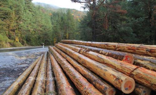 Δασική διαχείριση στα μεσογειακά δάση Η δασική διαχείριση οργανώθηκε με κανόνες στις περισσότερες χώρες το 19ο αιώνα Στην Ελλάδα στις αρχές του 20ού αιώνα Οι κανόνες αυτοί ήρθαν από την