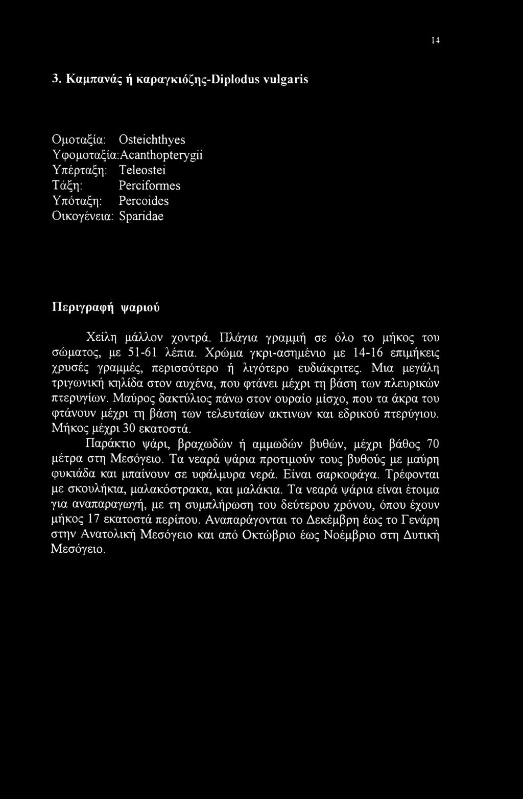 Μια μεγάλη τριγωνική κηλίδα στον αυχένα, που φτάνει μέχρι τη βάση των πλευρικών πτερυγίων.