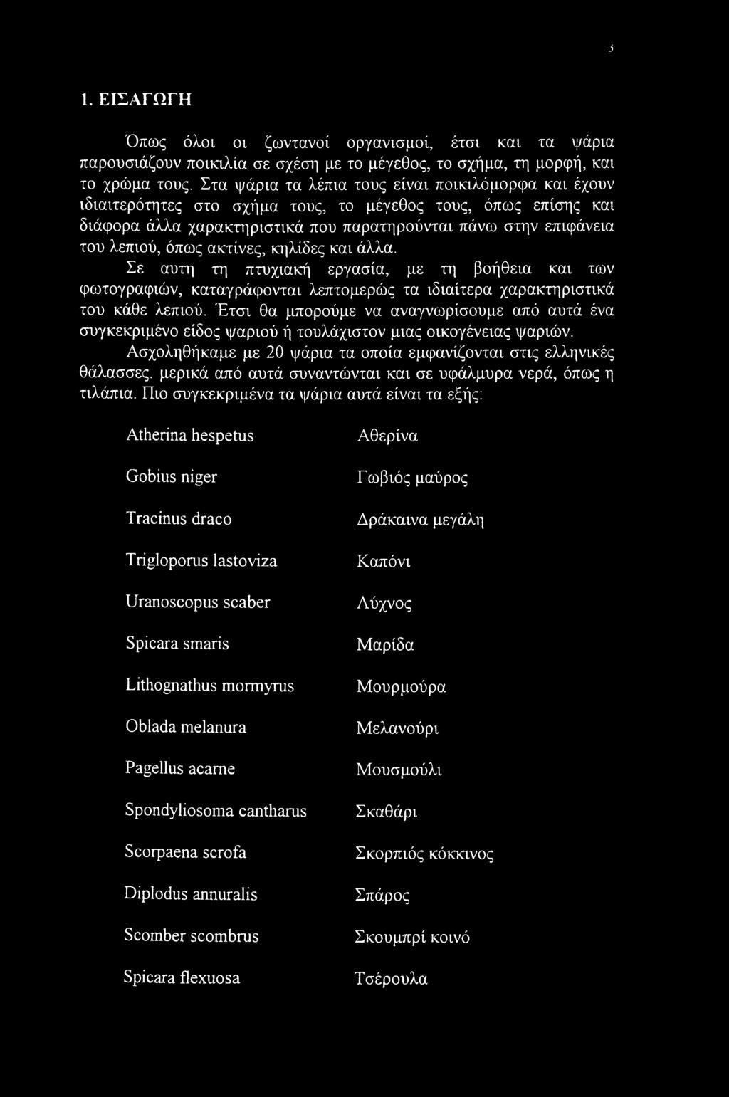 ακτίνες, κηλίδες και άλλα. Σε αυτί] τη πτυχιακή εργασία, με τη βοήθεια και των φωτογραφιών, καταγράφονται λεπτομερώς τα ιδιαίτερα χαρακτηριστικά του κάθε λεπιού.