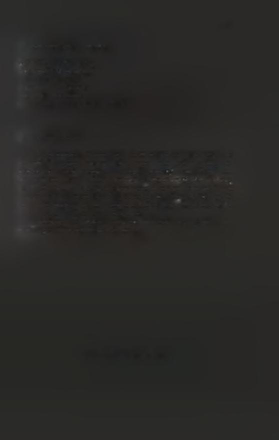 48 19.