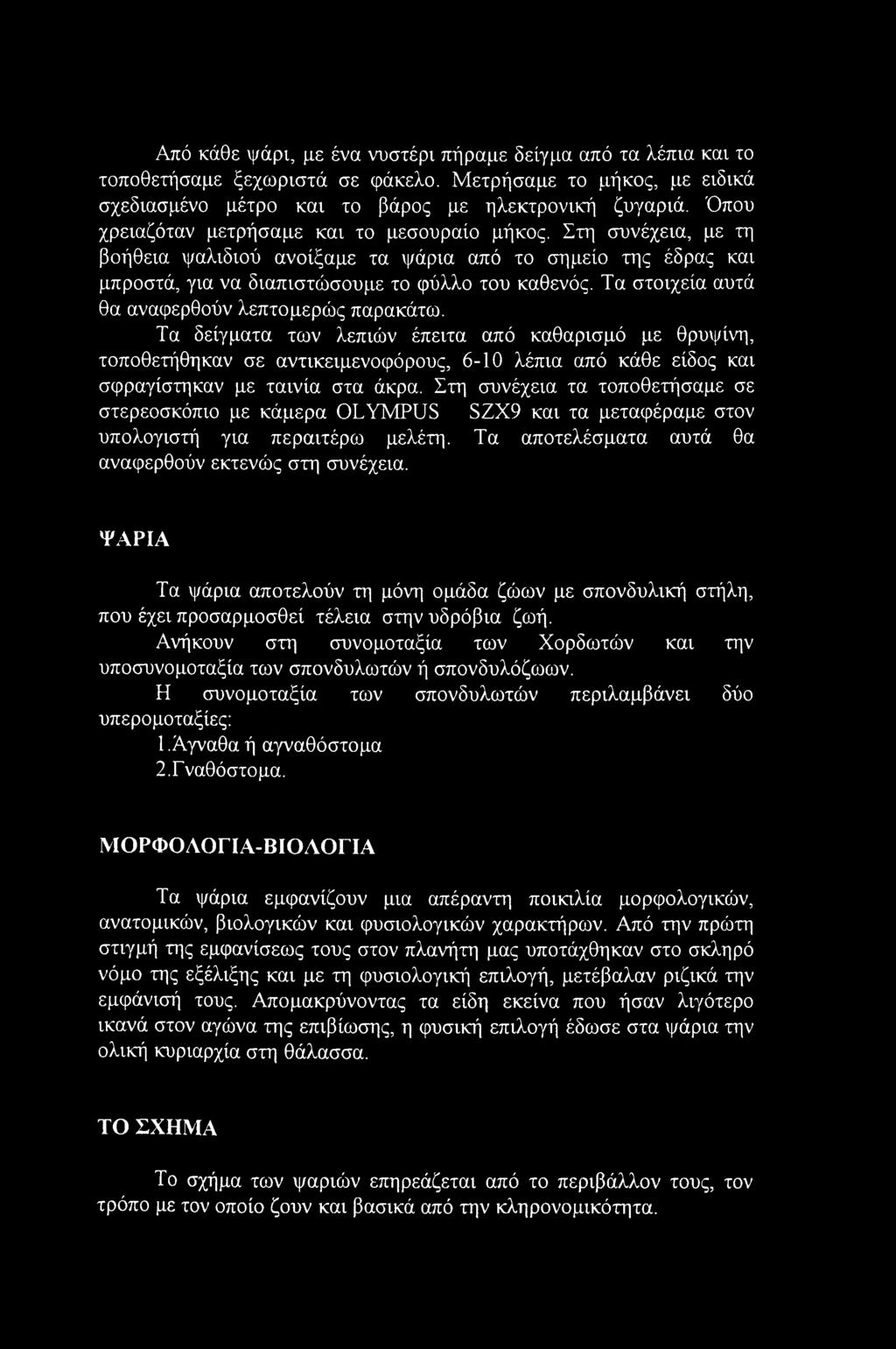Τα στοιχεία αυτά θα αναφερθούν λεπτομερώς παρακάτω.