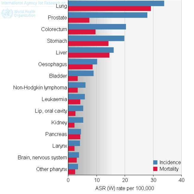 Epidemiology 2ος συχνότερος συμπαγής όγκος στους