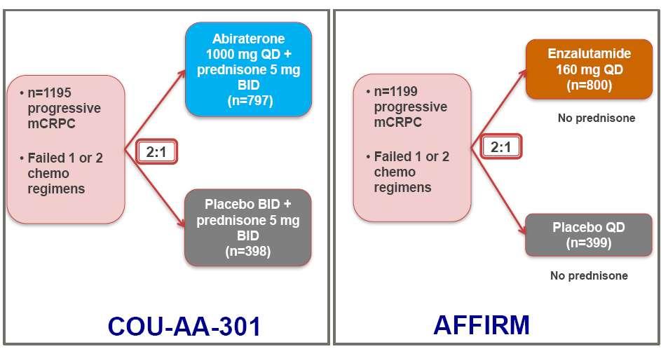 Abiraterone and Enzalutamide in mcrpc