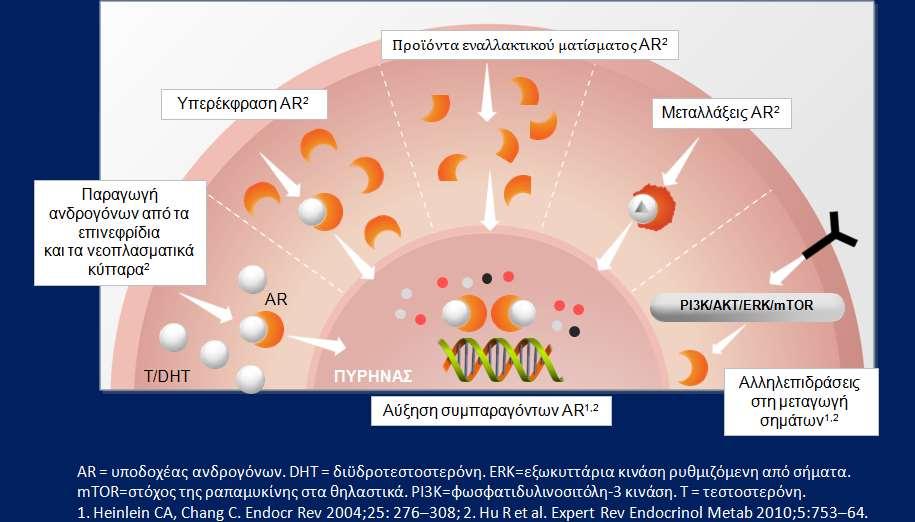 Mechanisms of evolution