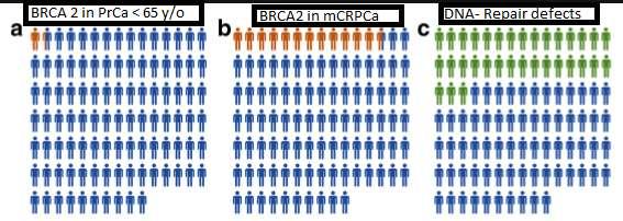 harbor DNA damage repair defects may be more sensitive to platinum based chemotherapy BRCA 2mutated: independent negative