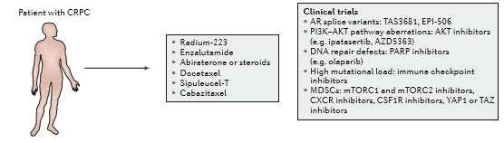 agents in an evidence- based manner,