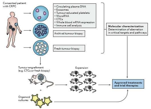 et al 2016 Nature Reviews Antonarakis et
