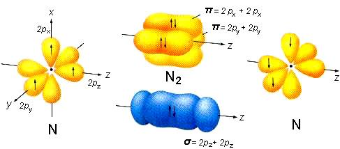 σ δεσμό, ωστόσο, απομένουν δύο ακόμη p τροχιακά με μονήρη ηλεκτρόνια, τα οποία με πλευρική p-p επικάλυψη δημιουργούν δύο π